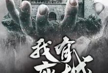 我有一座城小说，我有一座城叶轩李卓雅露西亚-读书翁