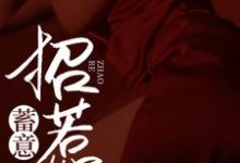 沈岁柔宋沉衍为主角的小说叫什么?免费看蓄意招惹-读书翁