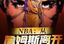 完结版《NBA:从詹姆斯离开骑士开始》在线免费阅读-读书翁