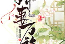 娇妻万福小说全文阅读需要付费吗?寻找免费资源-读书翁