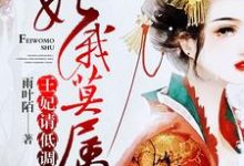 妃你莫属:王妃,请低调小说完结了吗?在哪里可以免费读到?-读书翁