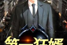 第一狂婿这本小说怎么样?免费在线阅读试试-读书翁