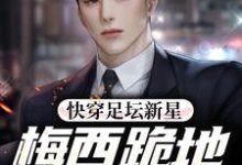 快穿足坛新星，梅西跪地求放过主角江浩小说完结版章节在线阅读-读书翁