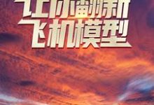 让你翻新飞机模型，你却打造幽灵战机？免费阅读，让你翻新飞机模型，你却打造幽灵战机？章节在线阅读-读书翁