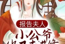 主人公叫顾樱赵长渡的小说哪里免费看-读书翁