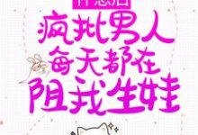 完结版《怀崽后，疯批男人每天都在阻我生娃》章节阅读-读书翁