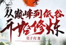 从巅峰到低谷开始修炼小说完结版章节免费阅读-读书翁