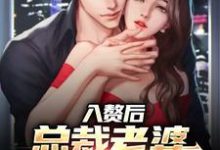 肖南沈叶的完整故事在哪里?读入赘后,总裁老婆心爱白月光小说-读书翁