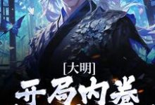 完结版《大明:开局内卷,我渔翁得利》章节阅读-读书翁