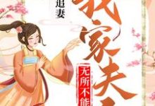 残王追妻:我家夫人无所不能小说的免费阅读版本在哪里可以找到?-读书翁