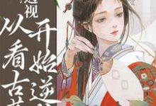 在线寻找透视:从看古董开始逆袭小说的无删减版本-读书翁