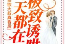 禁欲大叔真香后,每天都在极致诱哄小说的无弹窗阅读体验,寻找免费阅读网站-读书翁