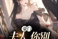 豪门:夫人,你别丢下我小说阅读,豪门:夫人,你别丢下我完结版-读书翁