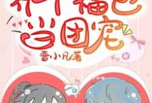 主人公弯弯秦盛小说养个福包当团宠在线章节阅读-读书翁