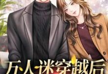 阮观南小说叫什么(万人迷穿越后,男主沦陷了免费阅读)-读书翁