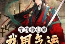 秦兽为主角的小说好看吗？求穿到修仙界，我用气运转盘成神免费试读-读书翁