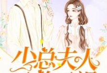 少总夫人又美又飒这本小说怎么样?免费在线阅读试试-读书翁