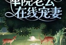 小说《七零:揣崽后,军院老公在线宠妻》在线章节阅读-读书翁