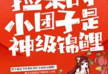 哪里能找到捡来的小团子是神级锦鲤小说的最新更新和免费章节？-读书翁