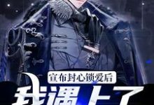 宣布封心锁爱后，我遇上了心动对象小说最新章节在哪里可以读到？-读书翁