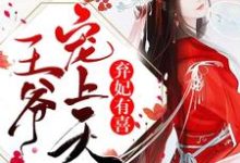 叶飘零晋王轩辕修的小说在哪里看？免费在线阅读弃妃有喜：王爷，宠上天-读书翁