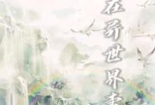 完整版的我在异世界卖货小说在哪里可以免费读到?-读书翁