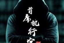 首席执行官这本小说在哪里可以看？哪里有免费试读章节？-读书翁