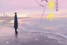 苏瑶陆励成小说在线章节免费阅读（等风也等你无弹窗无删减）-读书翁