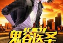 张良张小琴张千千为主角的小说都市鬼谷医圣在线阅读-读书翁