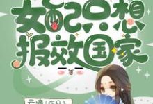 快穿之女配只想报效国家小说,快穿之女配只想报效国家章节在线阅读-读书翁