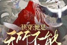 《快穿:她是无所不能的神》全集免费在线阅读(子清)-读书翁