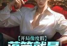 主人公叫许俊的小说开局像度假,落笔就是让子弹飞?在线阅读章节-读书翁