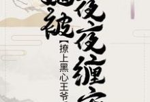 裴汐颜祁宸珞裴洳雪的小说在哪里看?免费在线阅读撩上黑心王爷后,她被夜夜缠宠-读书翁