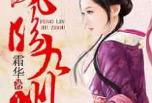 凤临九州最新章节，凤临九州免费阅读-读书翁