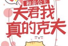 小说《和亲公主:夫君,我真的克夫!》在线章节阅读-读书翁