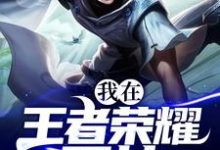 我在王者荣耀开挂小说的免费电子版在哪里可以下载或阅读？-读书翁