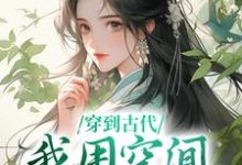 穿到古代,我用空间带飞全家免费阅读,穿到古代,我用空间带飞全家章节在线阅读-读书翁