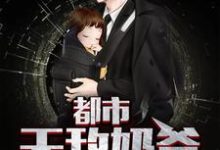 都市无敌奶爸薛明薛梓媛乔妃蓉,都市无敌奶爸小说免费阅读-读书翁