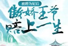 被聘为妃后，傲娇王爷赔上一生小说的免费电子版在哪里可以下载或阅读？-读书翁