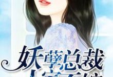 许静好顾岁安的完整故事在哪里?读妖孽总裁,人家不嫁小说-读书翁