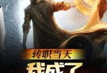 转职当天,我成了s级禁咒师免费阅读,转职当天,我成了s级禁咒师叶林-读书翁