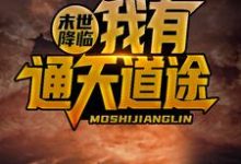 末世降临,我有通天道途这本小说完结了吗?免费查看最新章节-读书翁