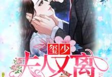 完结版《玺少，夫人又离家出走了》章节目录在线阅读-读书翁