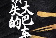 消失的大巴车小说全文哪里可以免费看?-读书翁