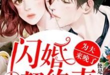 已完结小说《闪婚契约妻：为夫来晚了》章节在线阅读-读书翁