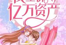 哪里能找到嫁给短命老公后,我坐拥亿万资产小说的全部章节?-读书翁