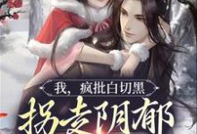 我,疯批白切黑,拐走阴郁反派老公小说的无弹窗阅读体验,寻找免费阅读网站-读书翁