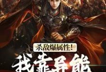 主角李道小说杀敌爆属性!我靠异能逆袭皇位免费阅读-读书翁