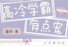 高冷学霸有点宠宁楚浩颜菁姝,高冷学霸有点宠小说免费阅读-读书翁