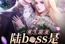 《重生甜妻：陆boss是宠妻狂魔》小说章节在线试读，《重生甜妻：陆boss是宠妻狂魔》最新章节目录-读书翁